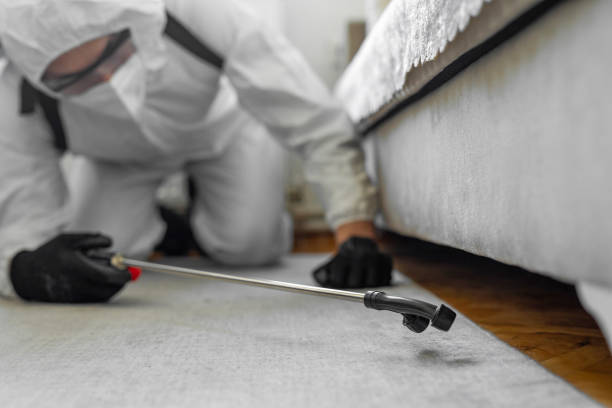 Professional Termite Control technician working in Logan, IA