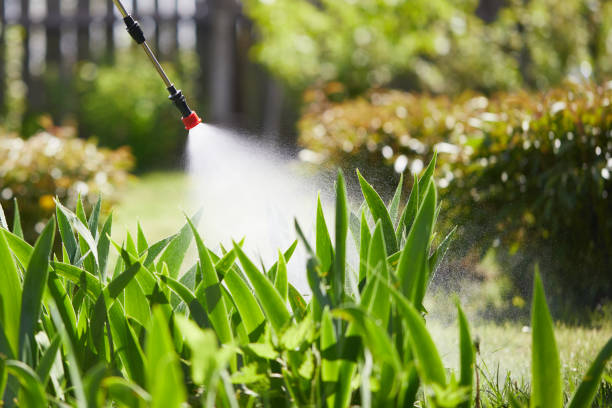 24/7 Emergency Termite Control experts in Logan, IA