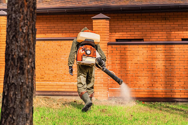 Trusted Mosquito Control service in Logan, IA - Nex Pest Control